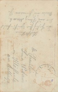 Elegant lady postal pigeon letter Vogel geflogen dove correspondence postcard