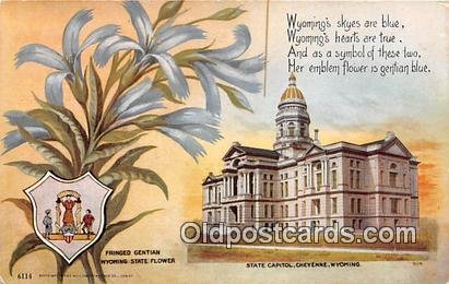 Fringed Gentian, State Capitol Cheyenne, Wyoming, USA 1910 