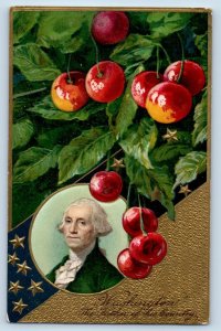 George Washington Postcard The Father Of His Country Berries Winsch Back 1910