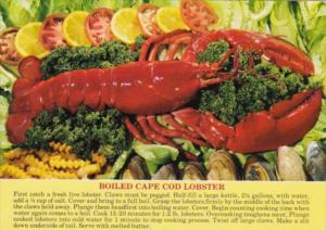 Boiled Cape Cod Lobster Dining Out On Cape Cod Massachusetts