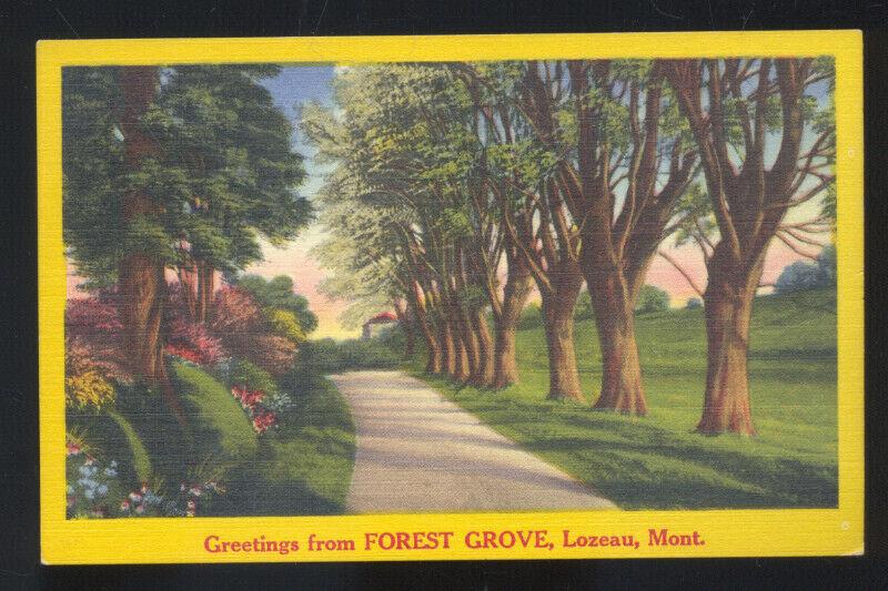 GREETINGS FROM FOREST GROVE LOZEAU MONTANA VINTAGE POSTCARD MONT.