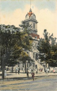 LP72  Visalia California Grammar School  Albertype Postcard 