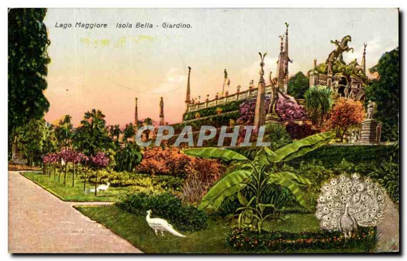 Old Postcard Italy Isola Bella Lago Maggiore Giardino