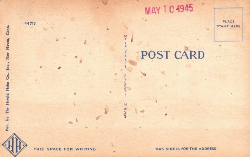 Vintage Postcard 1930's Pardee Rose Garden East Rock Park New Haven Connecticut