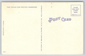 Comic~2 Men By Plane This Was Joystick I Meant~Vintage Postcard