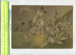 476485 flowers of the upper Alps Campanula Barbata Vintage poster