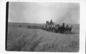 F42/ Occupational RPPC Postcard c1910 Horses Farming Wheat Harvest 2