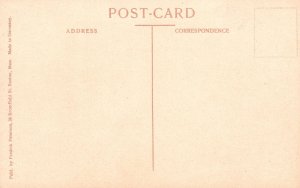 Norway, Norwegian Scenic Hardanger Hardangerfjord Ulvik Vintage Postcard c1910