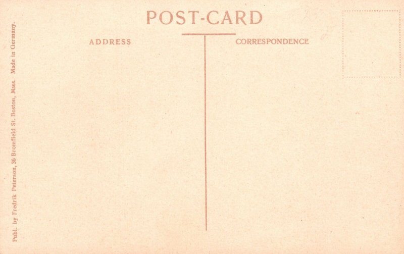 Norway, Norwegian Scenic Hardanger Hardangerfjord Ulvik Vintage Postcard c1910