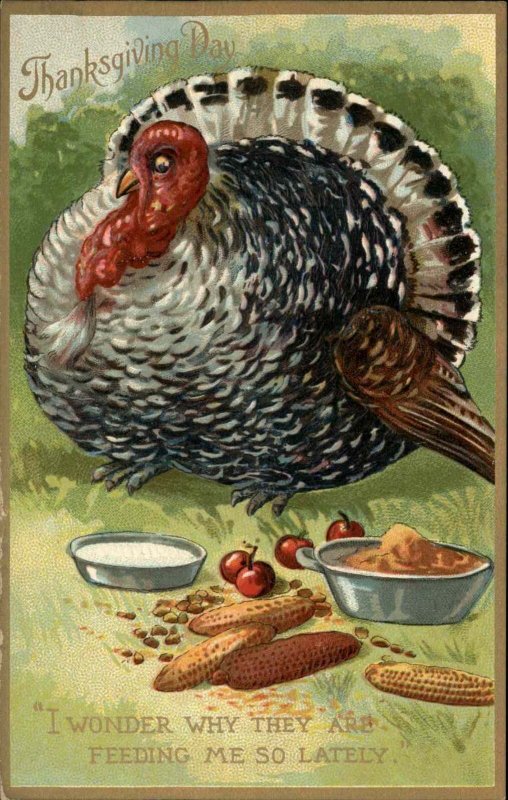 Tuck Comic Thanksgiving No. 162 Turkey Gets Plumped Up Vintage Postcard