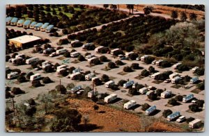 Emerald Grove Travel Park - Harlingen, Texas - 1974 - Postcard