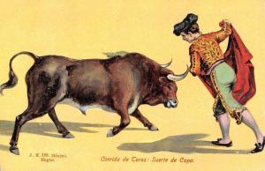 Group Of 6 Bull Fighting Scenes Matador Mexico Antique Postcards K25231