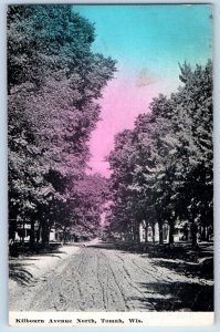 Tomah Wisconsin Postcard Kilbourn Avenue North Street Scene Trees 1910 Antique