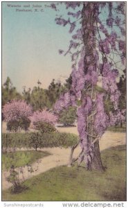 Wisteria And Judas Tree Pinehurst North Carolina Handcolored Albertype