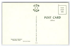 Sacred Heart Cathedral Galveston Texas Postcard