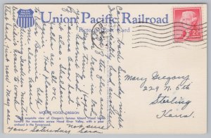 Linen~Mount Hood Oregon From Flowering Trees~Vintage Postcard