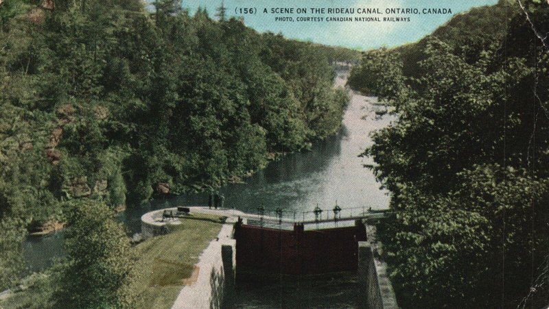 Ontario Canada, Rideau Canal Aerial View Forest Trees Waterway Vintage Postcard