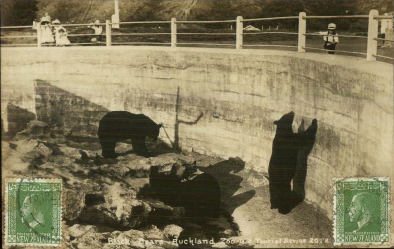 Auckland New Zealand Bears at Coo Used 1927 Real Photo Postcard