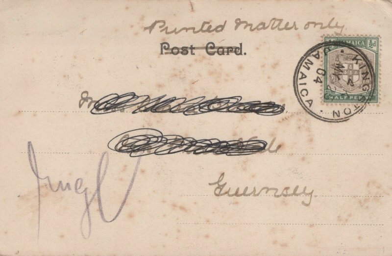 Jamaica Waterfalls Vintage Postcard 03.75 