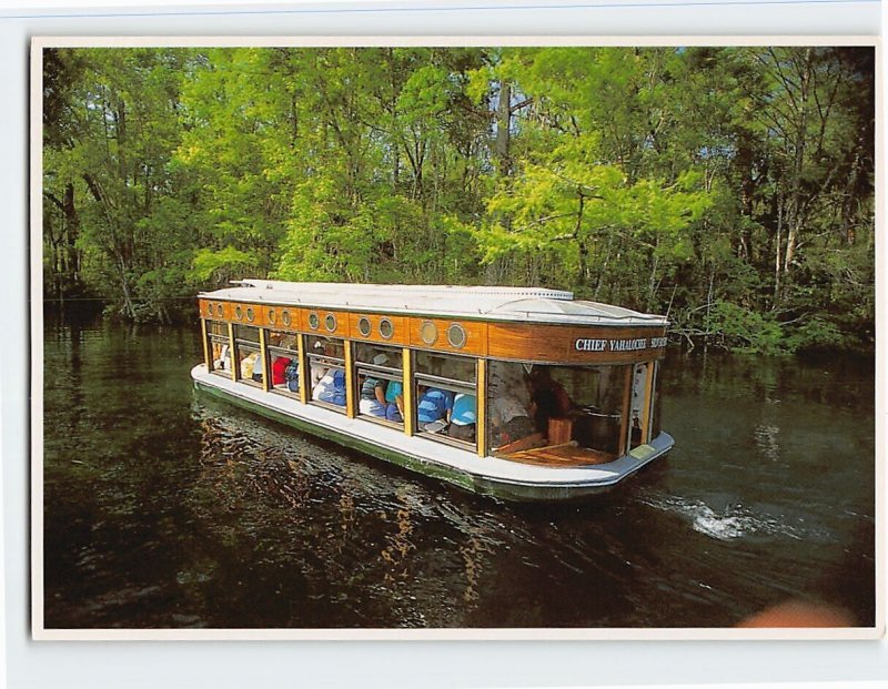 Postcard Glass Bottom Boats, Silver Springs, Florida