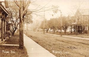 E88/ Minerva Ohio RPPC Postcard c1910 Murry Avenue Homes 5