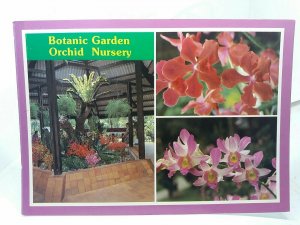 Botanic Garden Orchid Nursery Singapore Vintage Postcard 1987