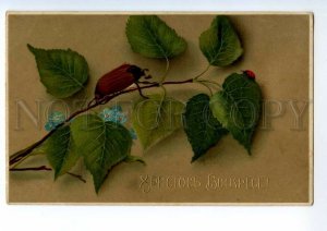 497794 RUSSIA EASTER beetle on flowers and ladybug Vintage postcard