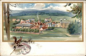 Hahnenklee Goslar Gruss Aus Style Squirrel Border Germany c1900 Postcard