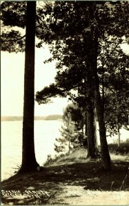 RPPC Scenic Beauty in Minnesota Real Photo Postcard Trees Lake PM Orr MN 1941