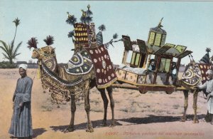 Egypt Camel Drawn Portative Pavilion For Marriage Procession sk2092a