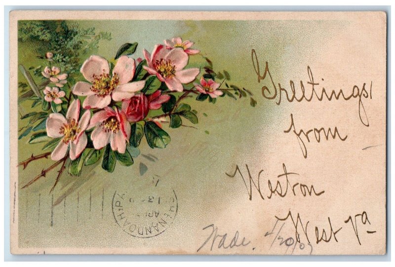 c1920's Greetings From Weston Full Blown Flowers West Virginia VA Postcard