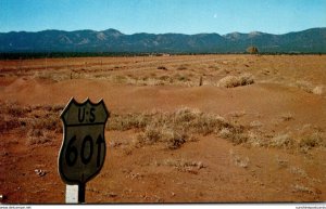 Southwest Desert Country Cactus Along Highway 66