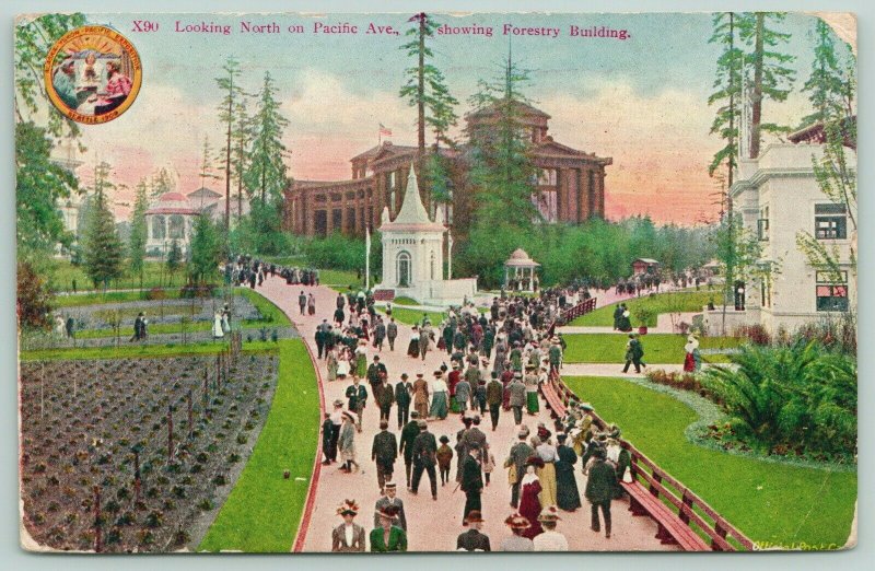 Seattle WA~Alaska-Yukon-Pacific Expo~Pacific Ave Looking North~AYPE X90~Postcard