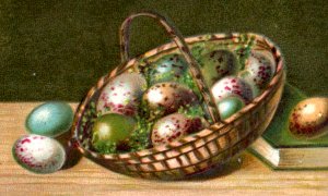 1880s Embossed Victorian Trade Card Beautiful Colorful Bird Eggs Fab! P128