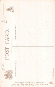 US Patriotic Flags Rose Garland Eagle embossed postcard B986