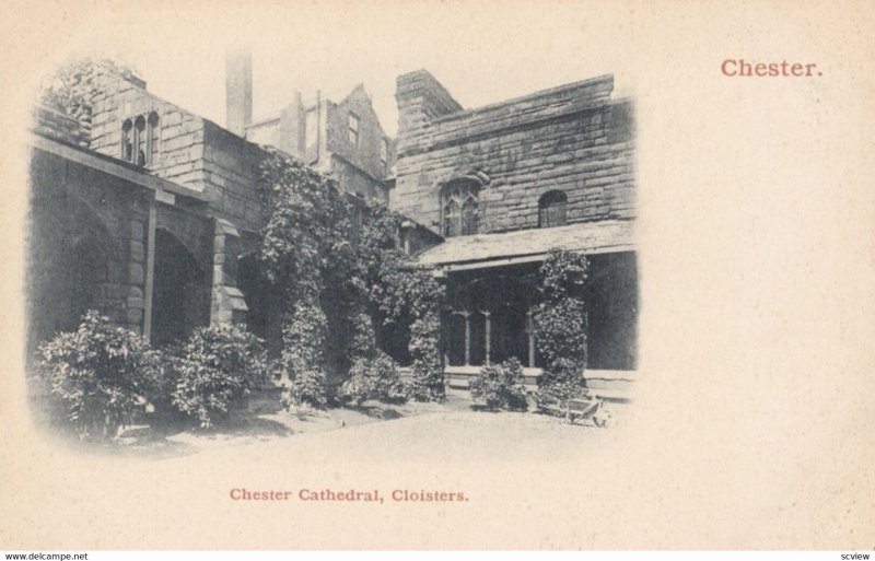 CHESTER, Cheshire, England, 1900-1910s; Cathedral , Cloisters