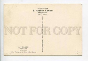402021 UK ORIENT LINE ship Orcades Old Dixon postcard