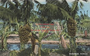 HI, Honolulu, Hawaii, Bananas, Exposition Commission Ad, Hawaii & South Seas Pub