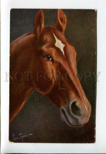 3160735 Head of HORSE Portrait by THOMAS Vintage colorful PC