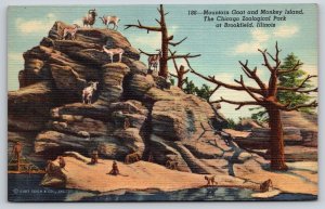 Animals~Mountain Goat & Monkey Island Chicago Zoo~Vintage Postcard