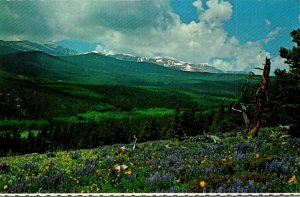 Wyoming Sprintime In The Big Horn Mountains