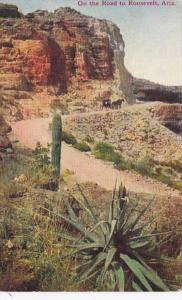 Arizona Cactus Desert Scene With Cactus