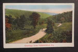 Mint USA Advertisement Postcard Vernfield PA Nyce Manufacturing Co Postcards