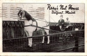 Maine Belfast Perry's Nut House 1940