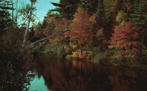 Postcard A Back Road Beauty Spot Reflecting the Fall Beauty Quiet Waters Scene