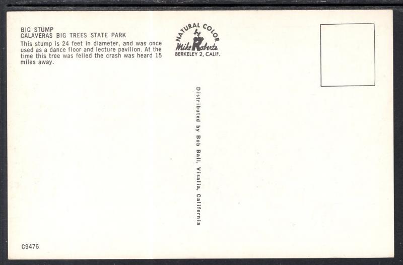 Big Stump,Calvaveras Big Trees State Park,CA