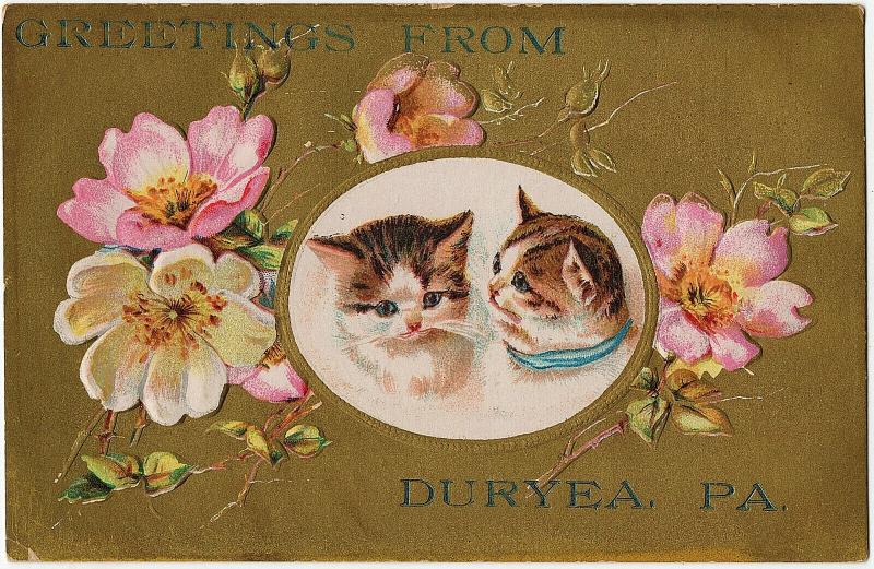 1907 Greetings From Duryea PA Pittston Luzerne Cats Kittens Embossed DB Postcard