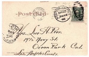 Large Monkey Pod Tree Honolulu Hawaii TH Undivided Back Postcard 1906