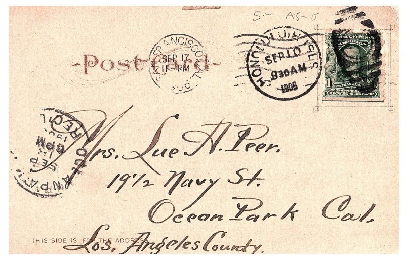 Large Monkey Pod Tree Honolulu Hawaii TH Undivided Back Postcard 1906