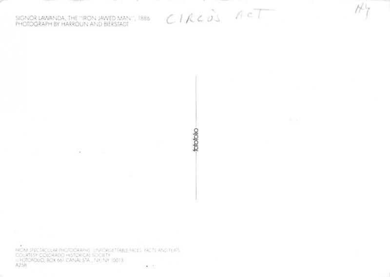 Circus - Iron Jawed Man